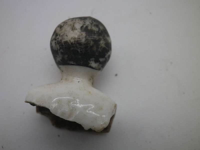 Antique Bisque/Ceramic DOLL PARTS. Unearthed in SA. 3 `frozen Charlotte` & c1890 german head wow!!