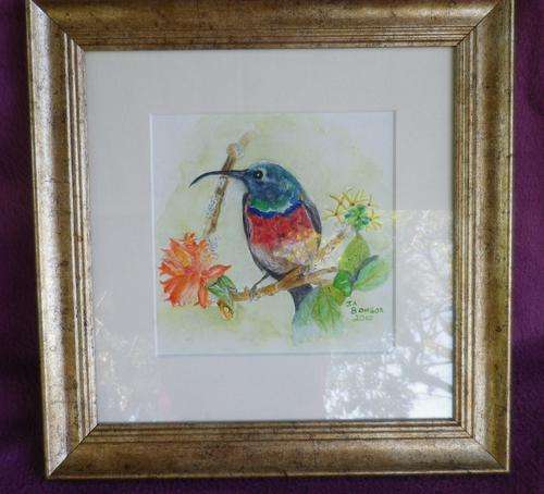 SO LOVELY! ORIGINAL FRAMED WATERCOLOR OF A SUNBIRD. Get the matching painting to make a gorgeous pai