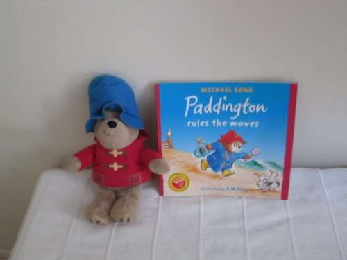 PADDINGTON BEAR PLUS BOOK