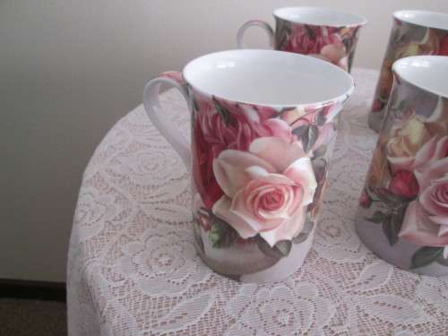 6 MAXWELL WILLIAMS MUGS  -  POSEY