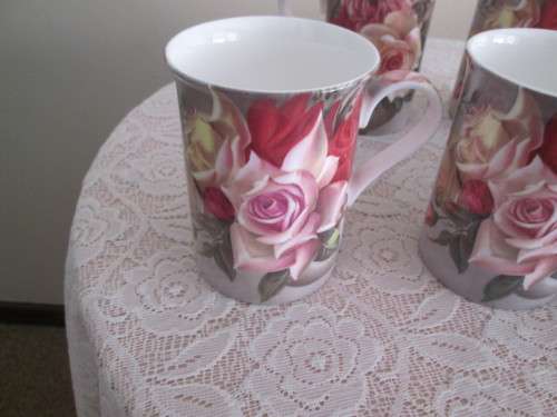 6 MAXWELL WILLIAMS MUGS  -  POSEY