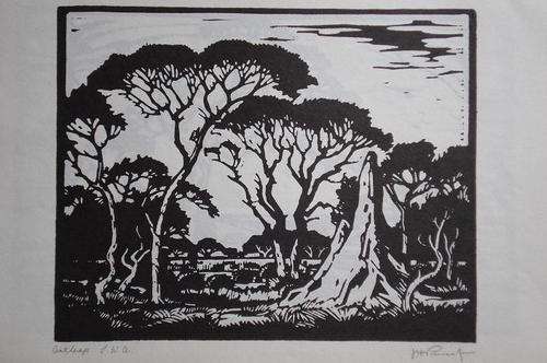 Pierneef -