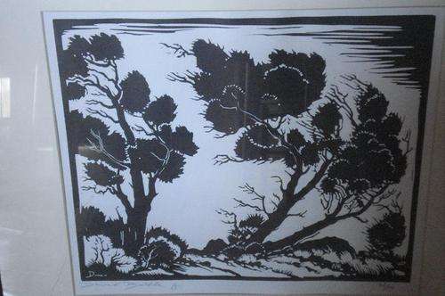 BARGAIN!!!! DAVID BOTHA LINOCUT at CRAZY R1 START!!