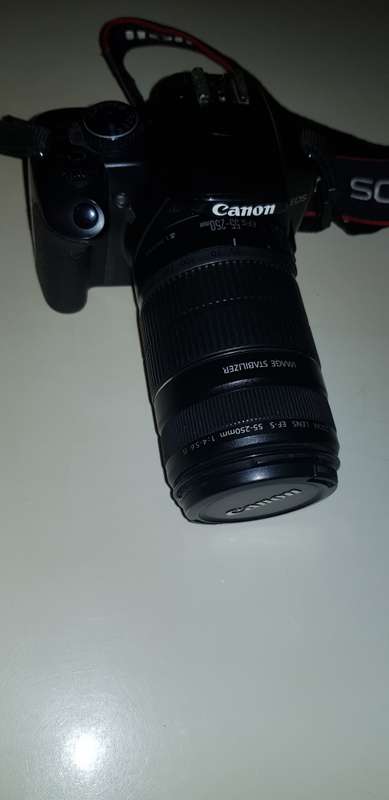 CANON EOS KISS X2(450D equiv)  Canon EF-S 55-250mm IS Lens