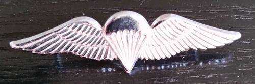 Parabat wing