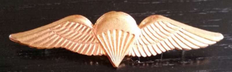 Parabat wing