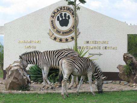 Amanzingwe Lodge