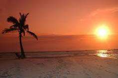 Mozambique break-away by SATSA