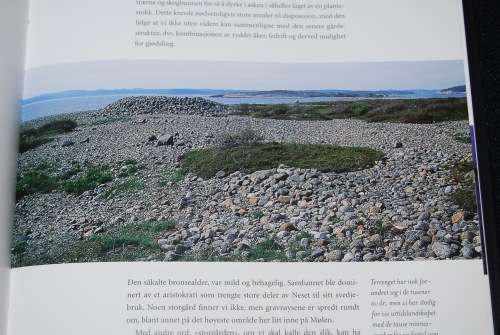MAGISKE MOLEN NORWEGIAN BOOK