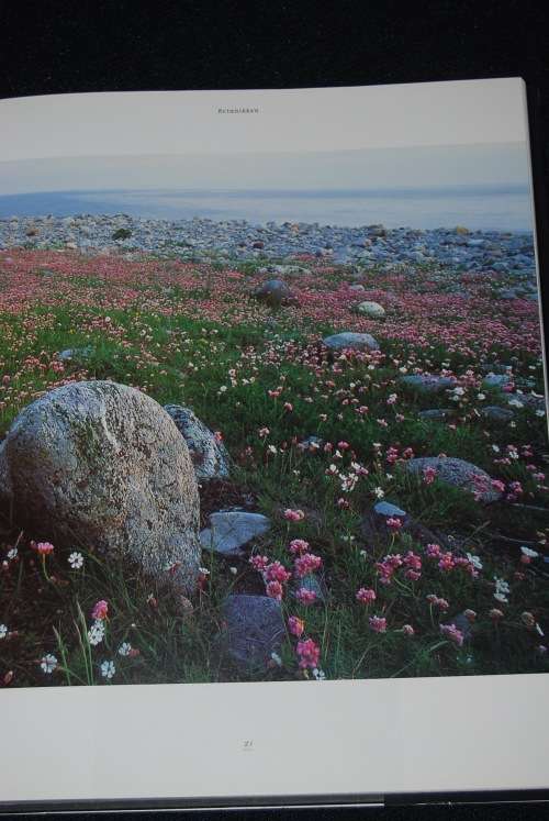 MAGISKE MOLEN NORWEGIAN BOOK