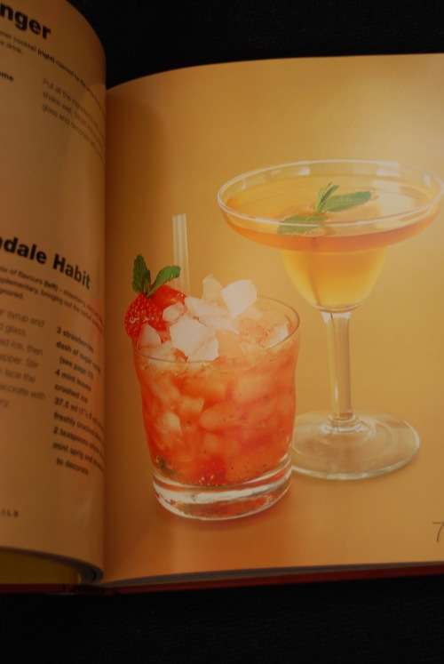 THE NEW CLASSIC COCKTAILS BY ALLAN GAGE
