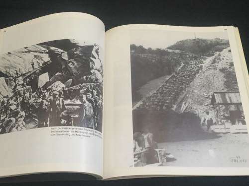 APE THE KINGDOM OF KONG BY DAVIS ANNAN