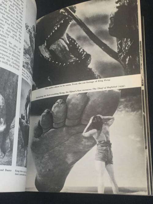 APE THE KINGDOM OF KONG BY DAVIS ANNAN