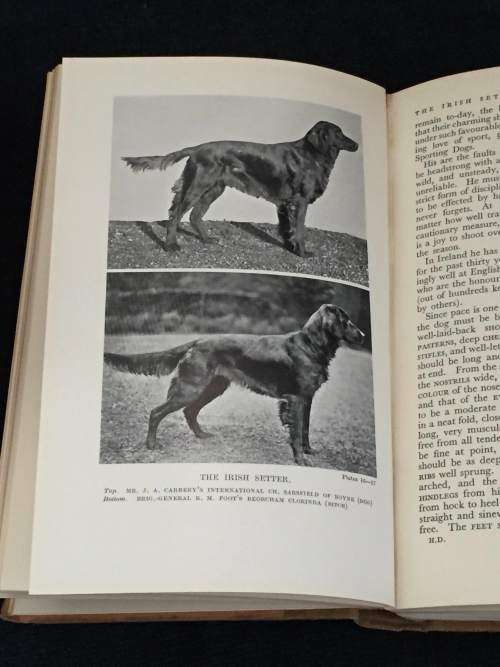 THE LONSDALE LIBRARY HOUNDS & DOGS 1930'S