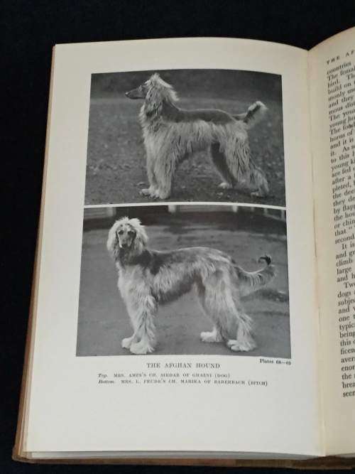 THE LONSDALE LIBRARY HOUNDS & DOGS 1930'S