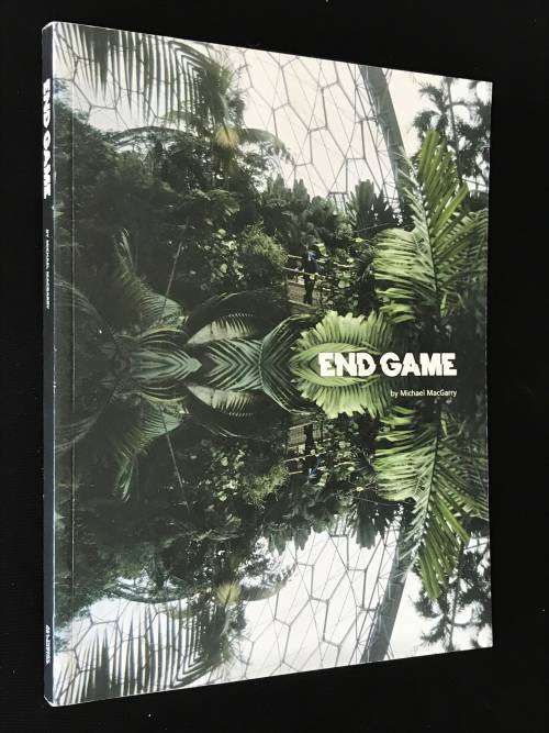 END GAME BY MICHAEL MCGARRY