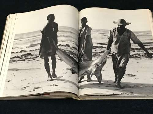 AFRIKA EMIL SCHULTHESS VOLUME 2 VOM AEQUATOR ZUM KAP DER GUTEN HOFFNUNG SIGNED BY AUTHOR (GERMAN)