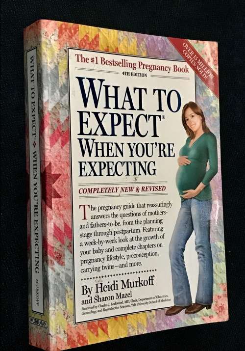 WHAT TO EXPECT WHEN YOU EXPECTING BY HEIDI MURKOFF