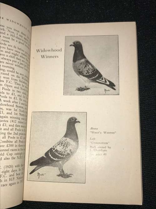 PIGEON RACING BOOKS X 5