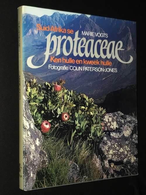 SUID-AFRIKA SE PROTEACEAE MARIE VOGTS
