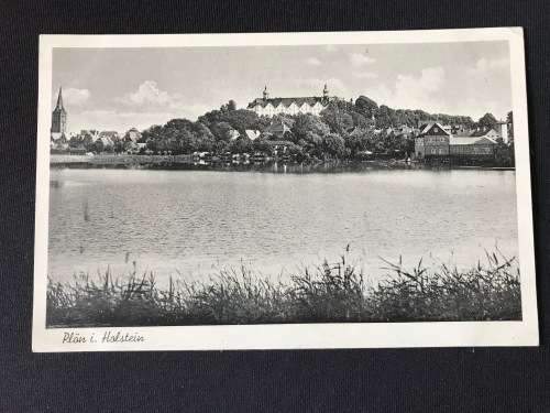 HOLSTEIN. VINTAGE POSTCARD UNUSED