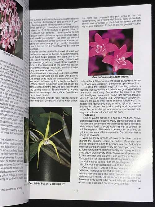 THE PLECTRANTHUS HANDBOOK BY ERNST VAN JAARSVELD