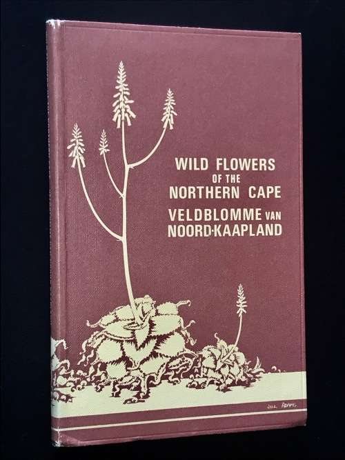 WILD FLOWERS OF THE NORTHERN CAPE BY JILL ADAMS