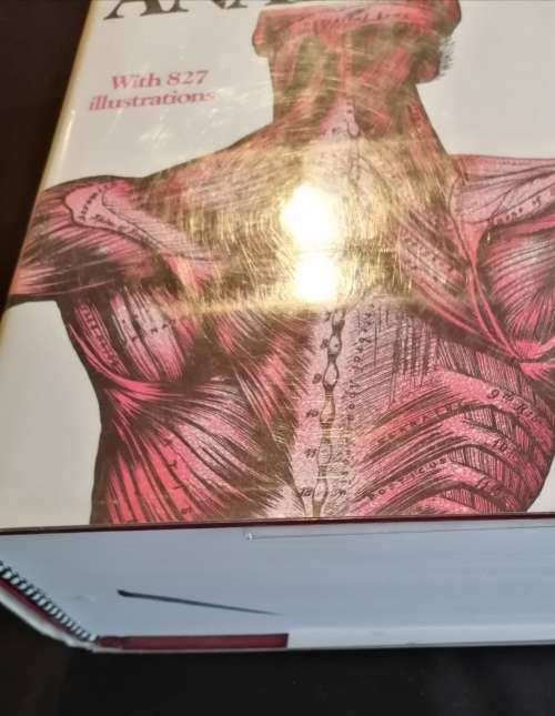 UNABRIDGED RUNNING PRESS EDITION OF THE AMERICAN CLASSIC GRAY'S ANATOMY - WITH 827 ILLUSTRATIONS
