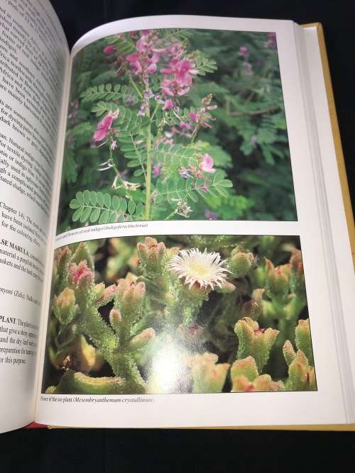 PEOPLE'S PLANTS  A GUIDE TO USEFUL PLANTS OF SOUTHERN AFRICA BY BEN ERIK VAN WYK & NIGEL GERICKE