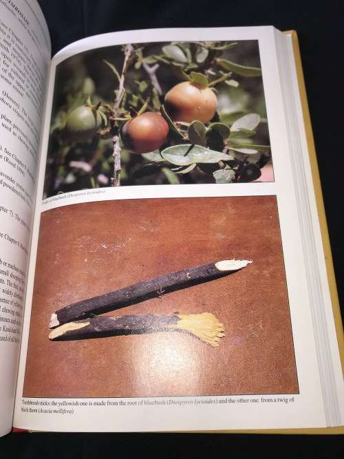 PEOPLE'S PLANTS  A GUIDE TO USEFUL PLANTS OF SOUTHERN AFRICA BY BEN ERIK VAN WYK & NIGEL GERICKE