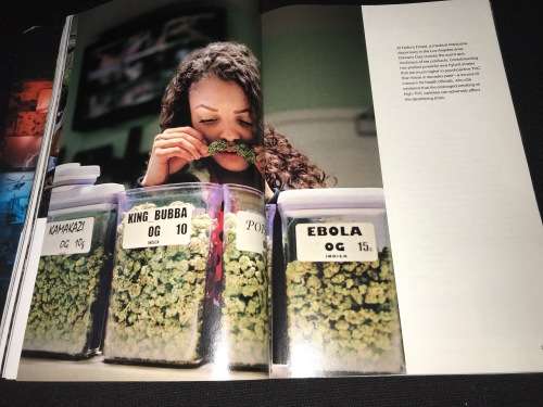 NATIONAL GEOGRAPHIC MAGAZINE JUNE 2015 WEED THE NEW SCIENCE OF MARIJUANA