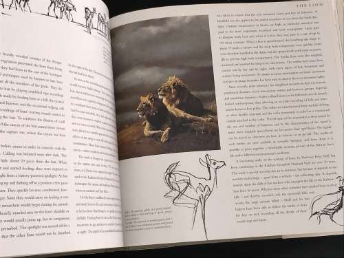 CATS OF AFRICA BY PAUL BOSMAN AND ANTHONY HALL-MARTIN