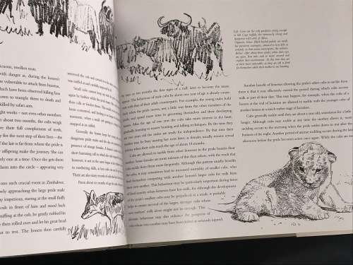 CATS OF AFRICA BY PAUL BOSMAN AND ANTHONY HALL-MARTIN
