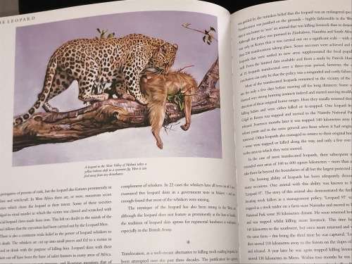 CATS OF AFRICA BY PAUL BOSMAN AND ANTHONY HALL-MARTIN