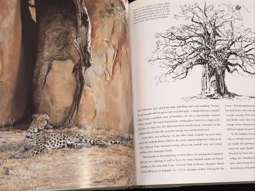 CATS OF AFRICA BY PAUL BOSMAN AND ANTHONY HALL-MARTIN