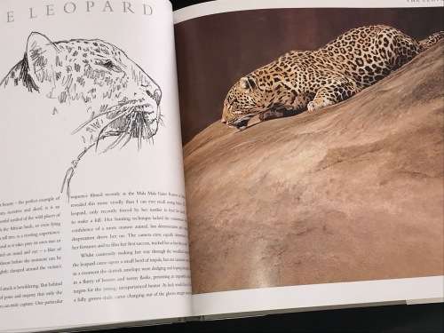 CATS OF AFRICA BY PAUL BOSMAN AND ANTHONY HALL-MARTIN