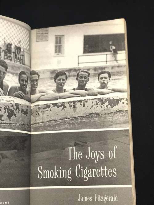 THE JOYS OF SMOKING CIGARETTES BY JAMES FITZGERALD
