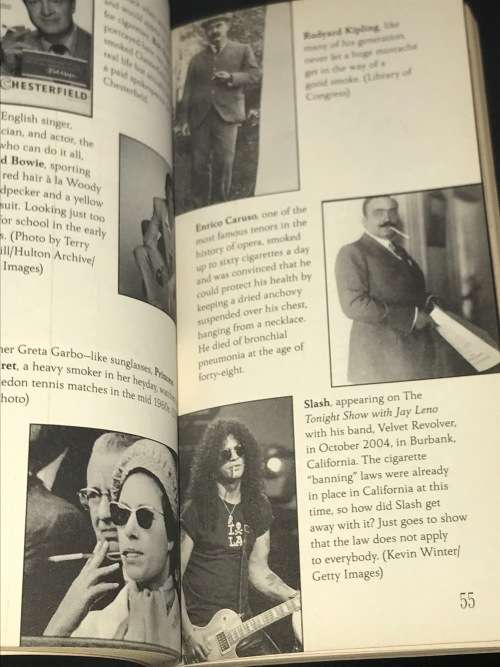 THE JOYS OF SMOKING CIGARETTES BY JAMES FITZGERALD