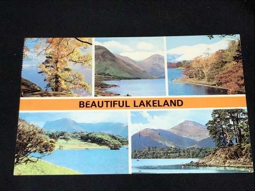 VINTAGE POSTCARD OF GLENCOYNE WOODS UK TO SA