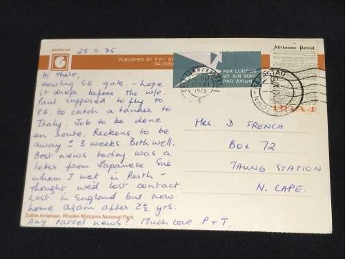 VINTAGE POSTCARD OF SABLE ANTELOPE RHODES MATOPOS NATIONAL PARK SOUTH AFRICA