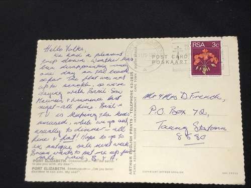 VINTAGE POSTCARD OF A DOLPHIN IN PORT ELIZABETH