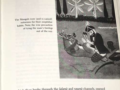 SEX IN HISTORY BY REAY TANNAHILL