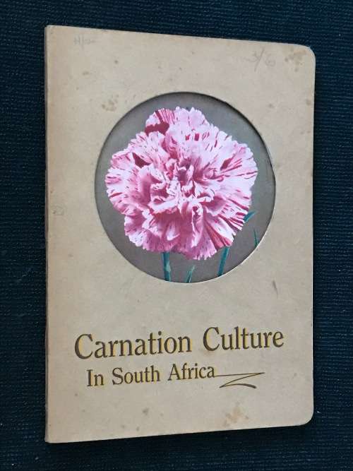 CARNATION CULTURE IN SOUTH AFRICA