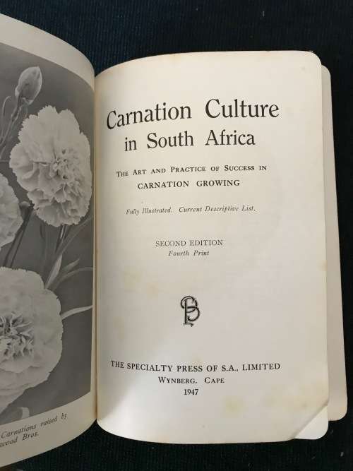 CARNATION CULTURE IN SOUTH AFRICA