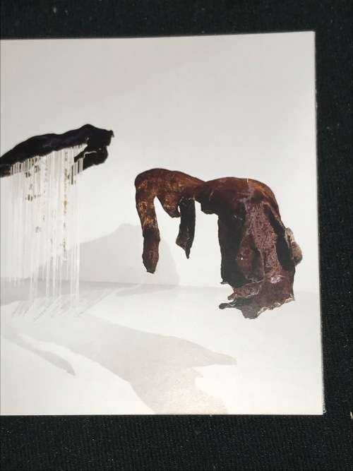 NANDIPHA MNTAMBO 2007 CATALOGUE
