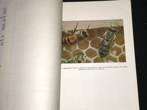 BEEKEEPING IN SOUTH AFRICA BY R.H. ANDERSON , B BUYS AND M.F. JOHANNSMEIER