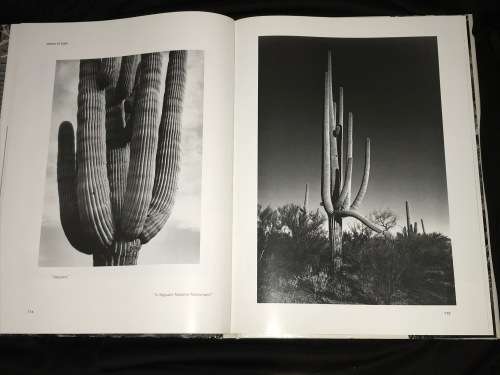 MASTER OF LIGHT BY ANSEL ADAMS AND HIS INFLUENCES - THERESE LICHTENSTEIN