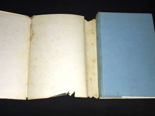 A DECENT FELLOW DOESN'T WORK BY LAWRENCE G. GREEN 1963 1ST EDITION