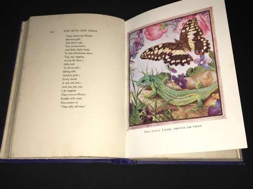 POEMS OF A SOUTH AFRICAN THE COLLECTED VERSE OF A. VINE HALL ILLUSTRATED VERSION