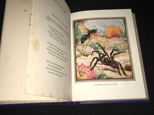 POEMS OF A SOUTH AFRICAN THE COLLECTED VERSE OF A. VINE HALL ILLUSTRATED VERSION